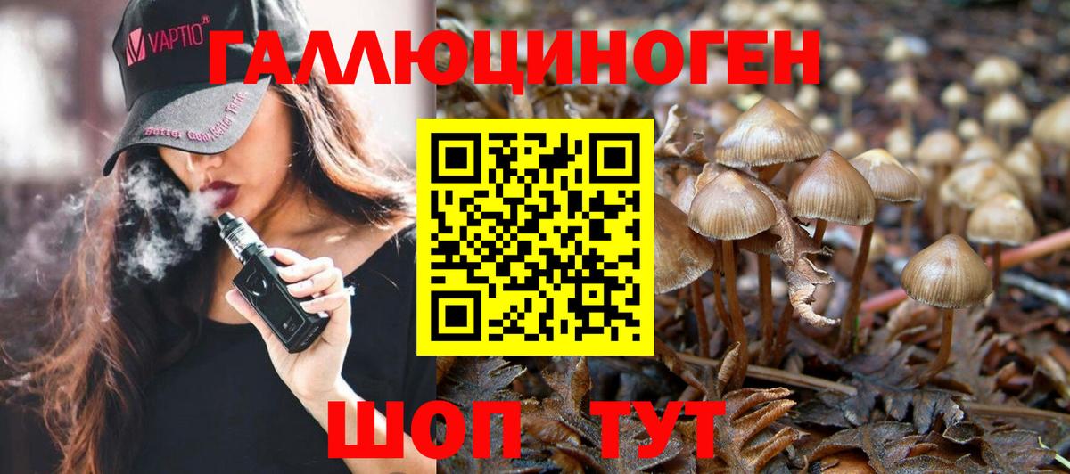 Ртищево  Псилоцибиновые грибы GOLDEN TEACHER  Псилоцибиновые грибы мицелий  Вход с VPN 