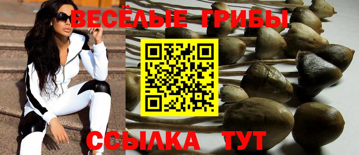 Галлюциногенные грибы ЛСД Ртищево
